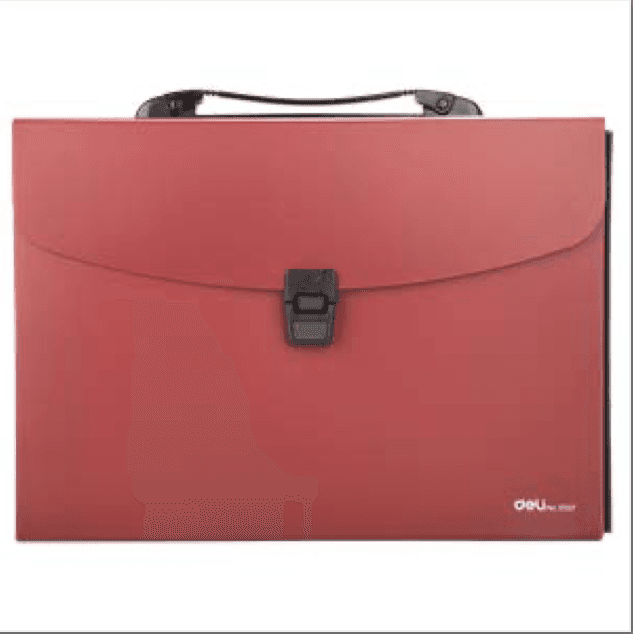 Deli A4 13 Pocket Expanding File Folder, Assorted E5557